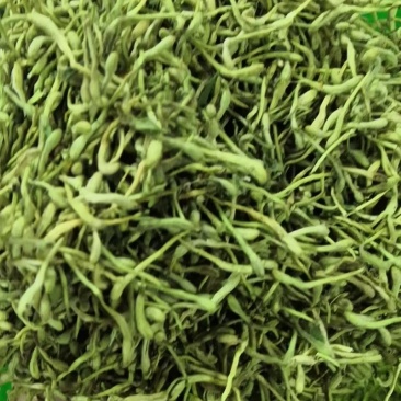金银花，金银花，金银花，金银花，金银花，金银花