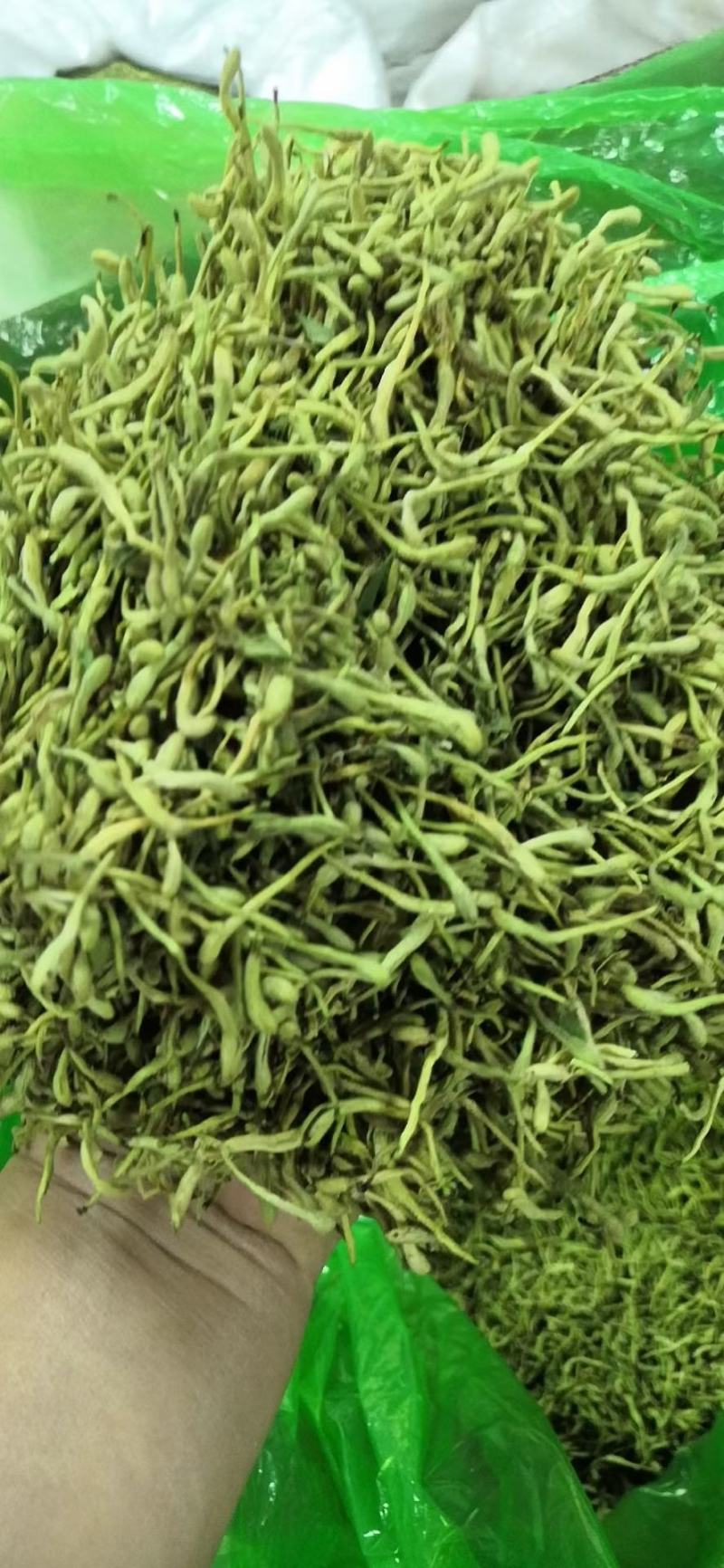 金银花，金银花，金银花，金银花，金银花，金银花