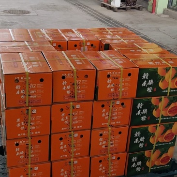 赣南脐橙当天发货！宗赣南脐橙20斤lzy870209