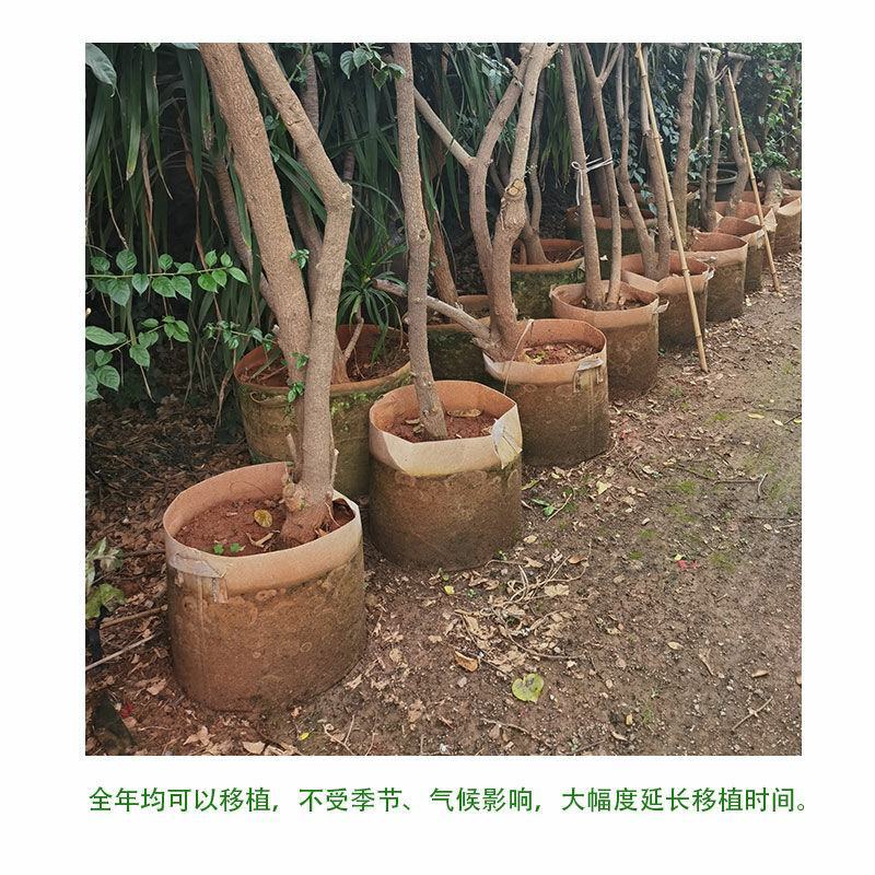 美植袋批发种植袋加厚植树袋无纺布加厚育苗袋种植袋植