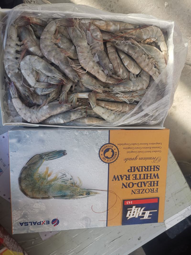 厄瓜多尔进口虾