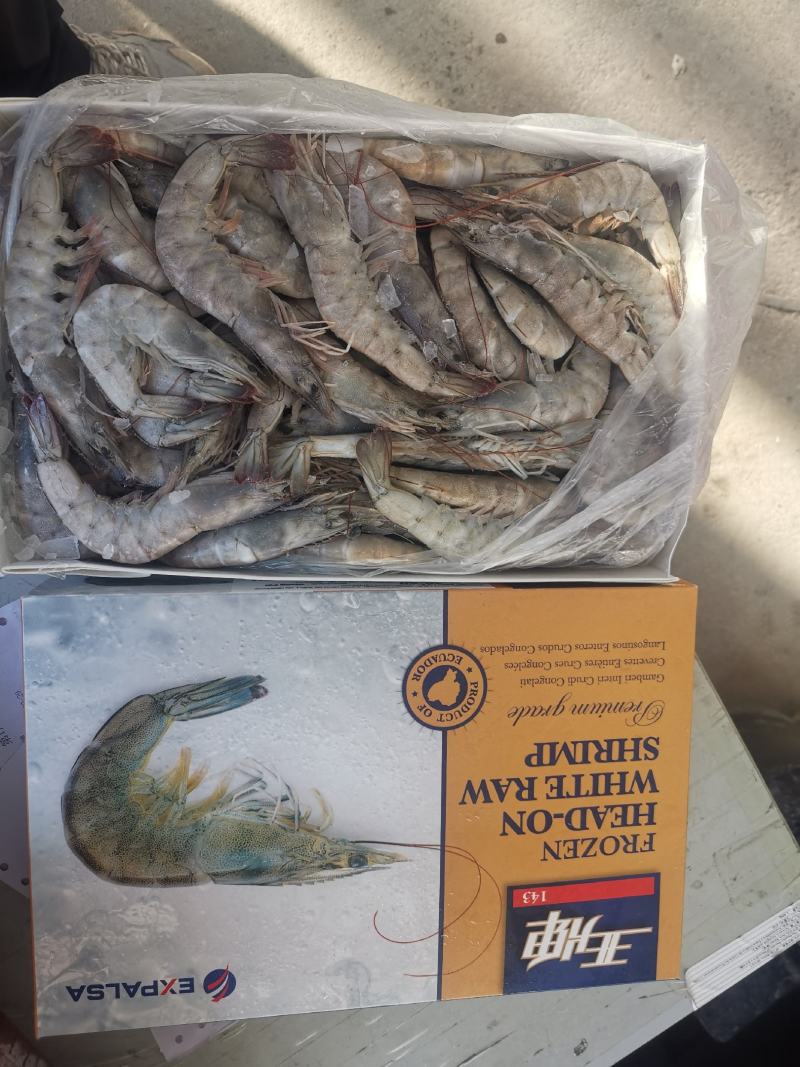 厄瓜多尔进口虾