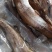 无头鳕鱼去头狭鳕鱼明太鱼400-500规格