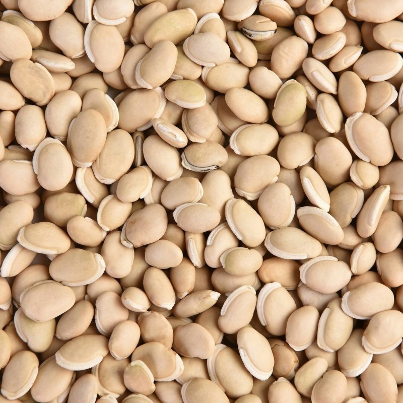 白扁豆云南农家食用药用新豆药食同源煲粥小扁豆五谷杂粮