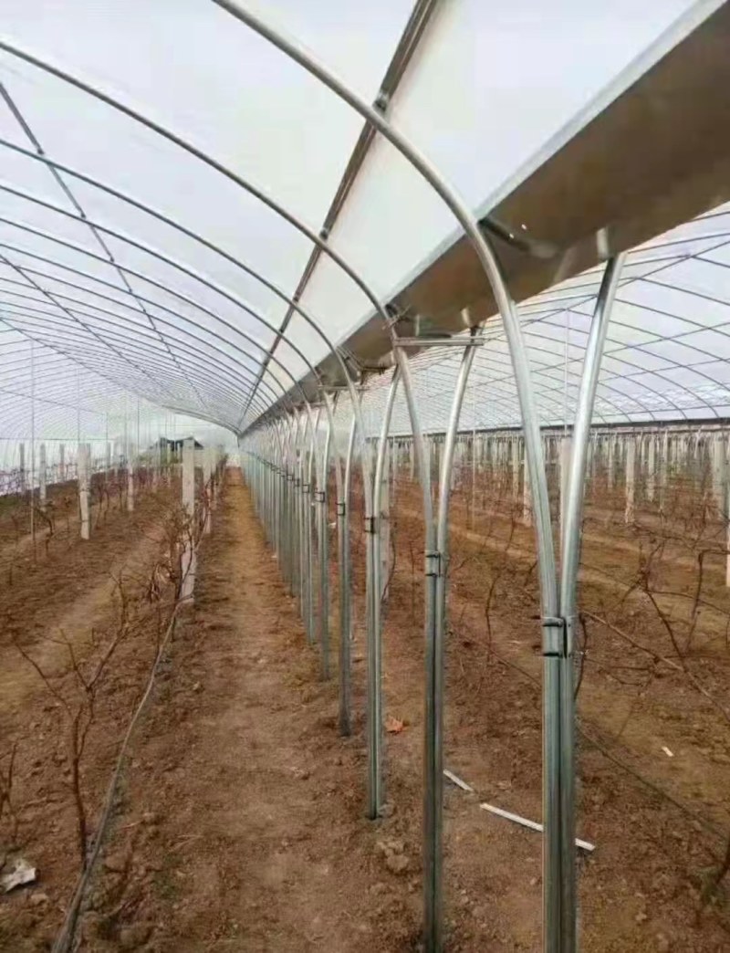 肩并肩大棚厂家直销尺寸任意定制送货上门安装