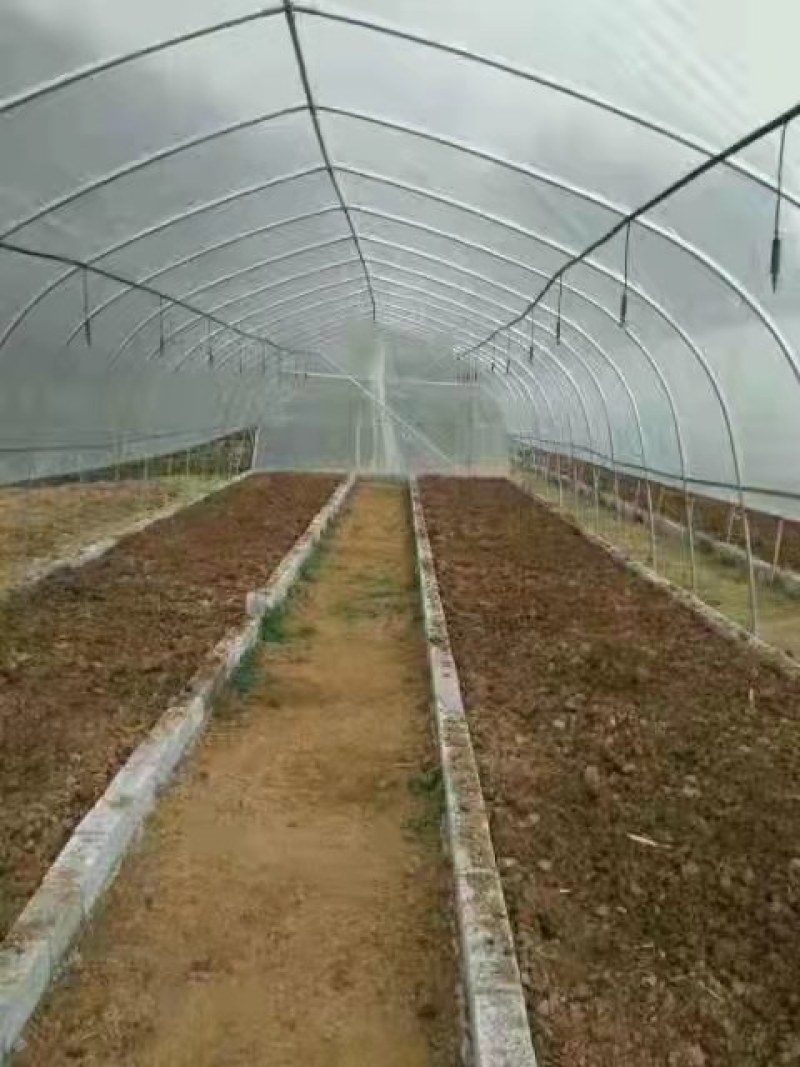 肩并肩大棚厂家直销尺寸任意定制送货上门安装