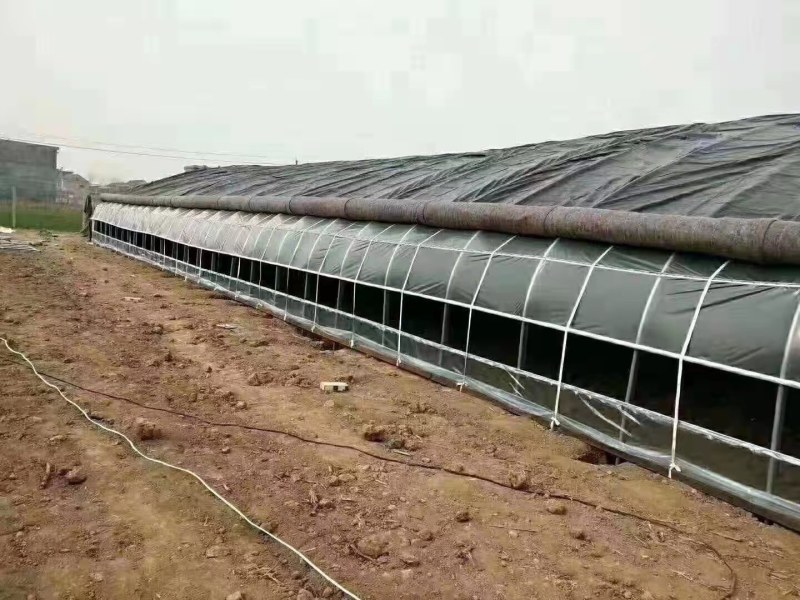 肩并肩大棚厂家直销尺寸任意定制送货上门安装