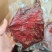 真空一斤一袋酱香肉全熟开袋即食麻辣五香两个口味