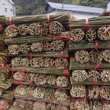 40公分到90公分长的竹段