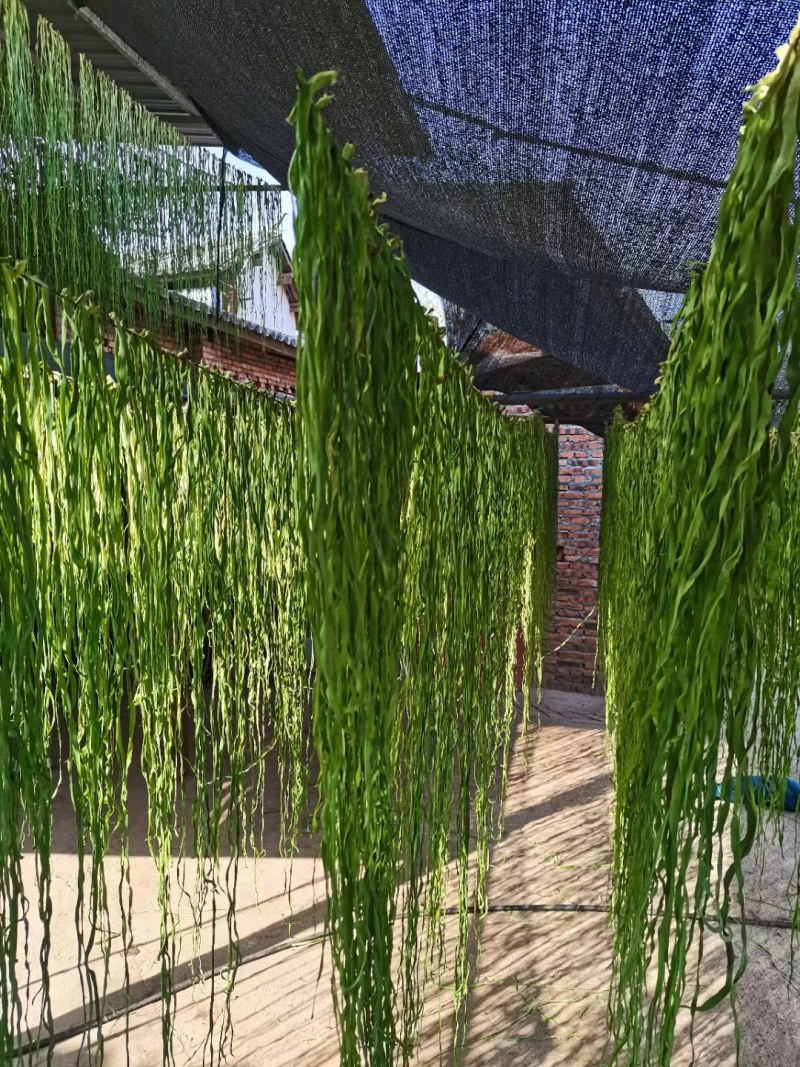 安徽贡菜云南贡菜响菜苔菜一箱10斤
