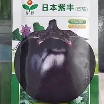 日本紫丰黑亮圆茄黑圆茄紫圆茄圆茄种子黑圆茄种子