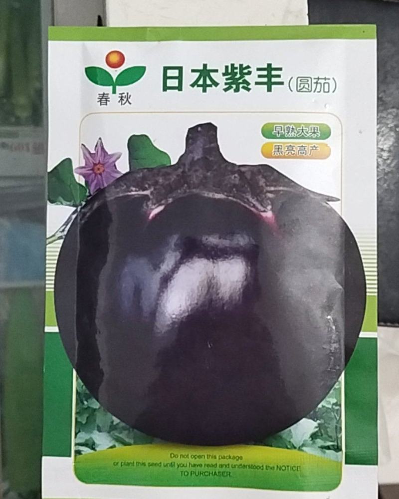 日本紫丰黑亮圆茄黑圆茄紫圆茄圆茄种子黑圆茄种子