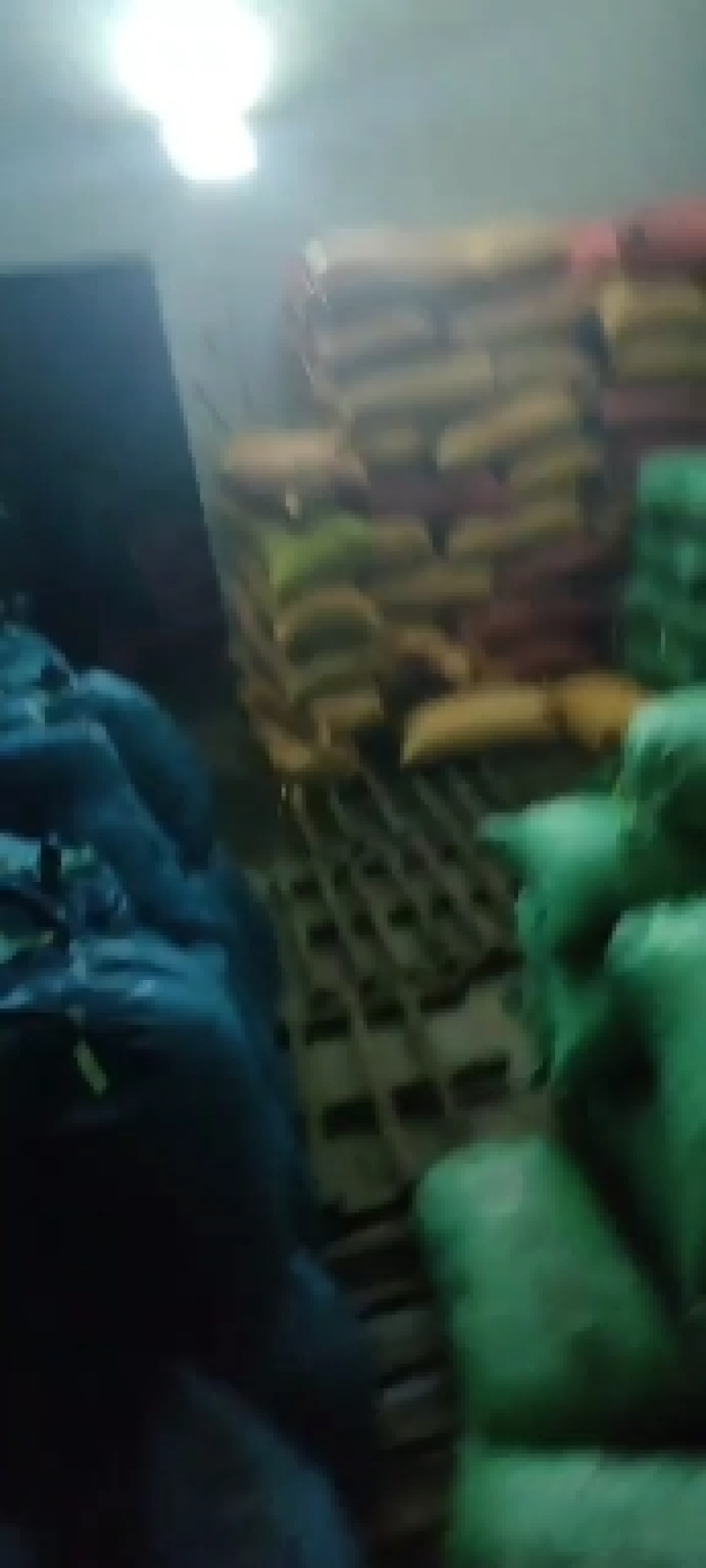 云南野生板栗大量现货