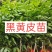 黑黄皮果苗贵妃黄皮果苗品质保证靓苗多多