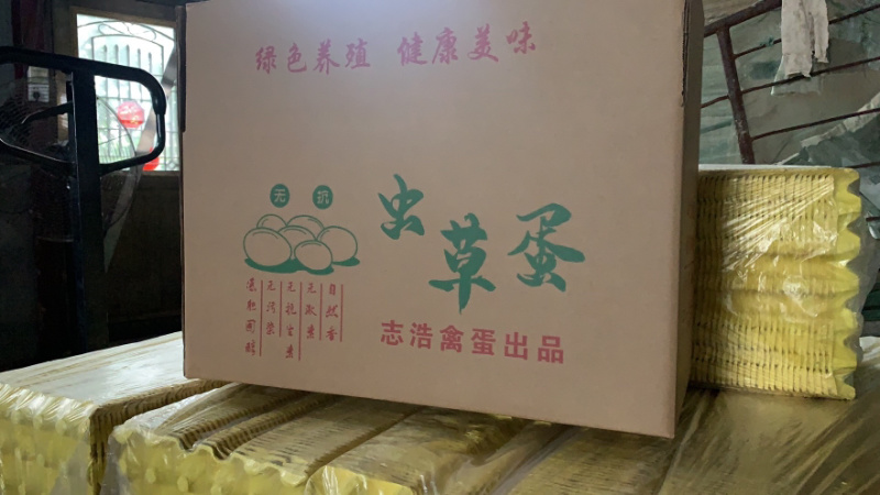 主营苏北草鸡蛋虫草蛋绿壳蛋等各类蛋品产地直供！