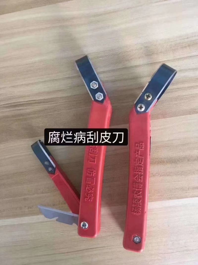 腐烂病专用刮皮刀三个刀片
