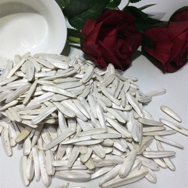 东北牙签