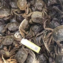 大闸蟹