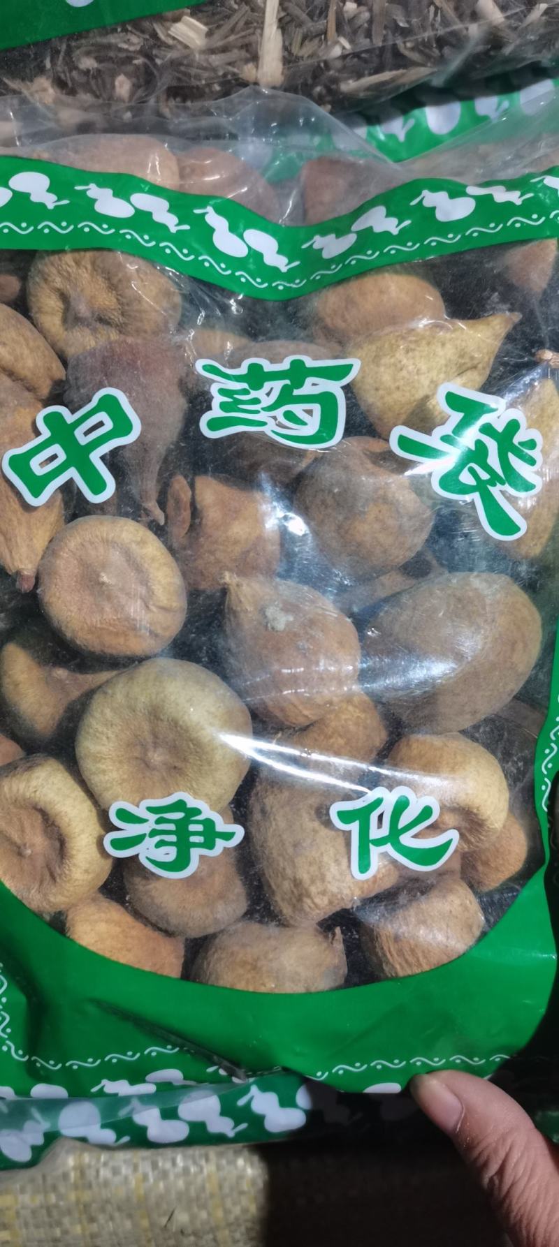 木馒头奶母果霹雳果薜荔果木莲果无理由退换货