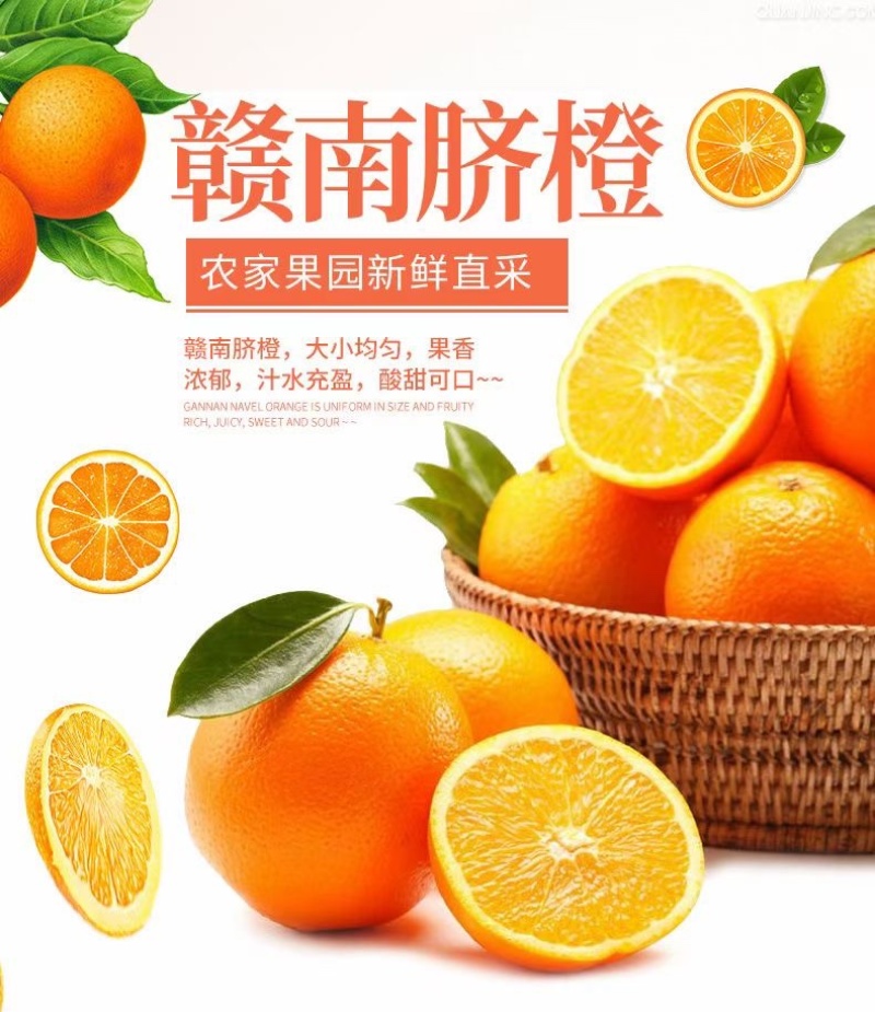 江西赣南脐橙一件代发顺丰包邮全国发货欢迎下单品尝