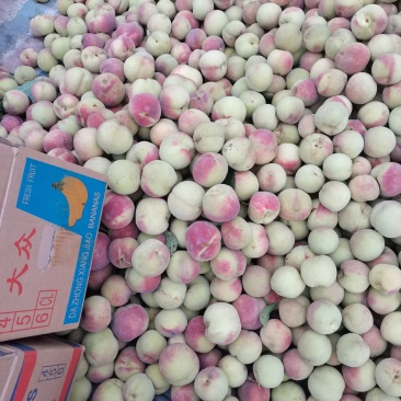沂蒙山优质冬桃