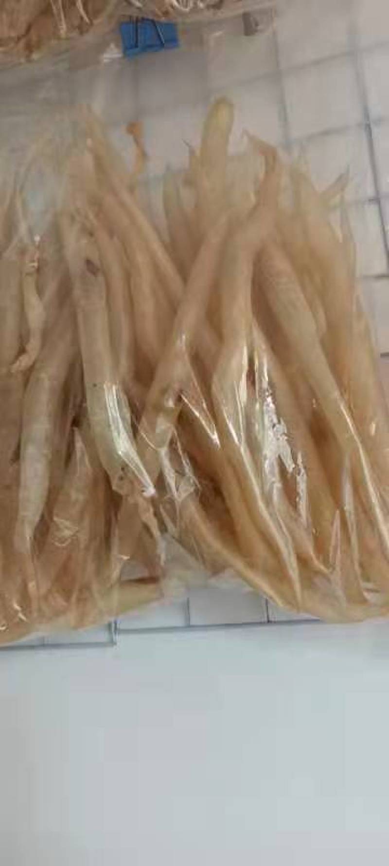 蟮鱼胶