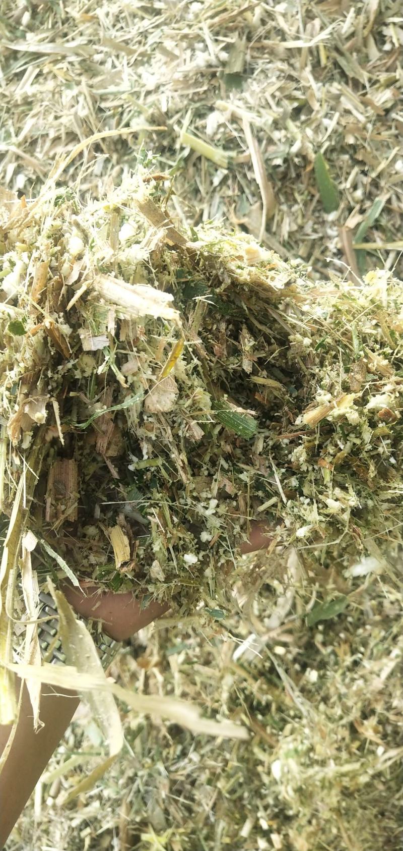 羊草草草草草大量羊草