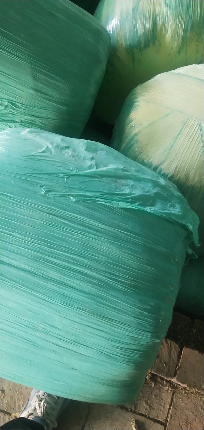 羊草草草草草大量羊草