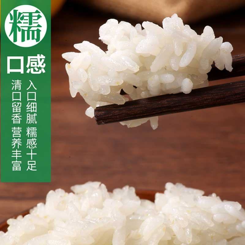 中粮五湖珍珠米梗米圆粒大米餐饮珍珠大米25kg/袋