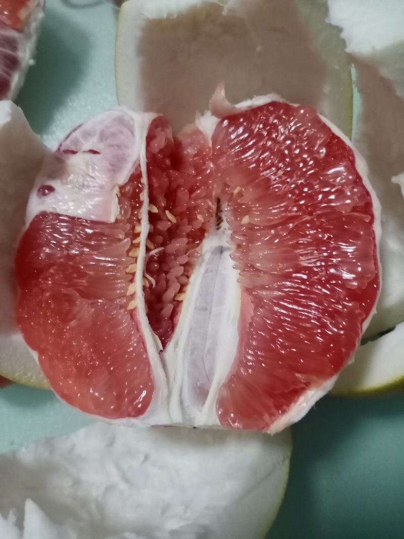 【畅销】蜜柚红心柚，白心柚大量上市基地直发，果大肉嫩