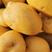 沙漠V7土豆黄皮黄心土豆，产地直发，优质货源，诚信经营