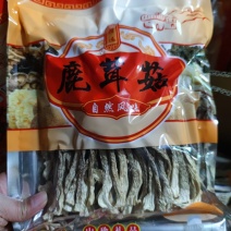 鹿茸菇干货袋装菌菇鹿茸菌餐饮食用菌煲汤好食材可定制