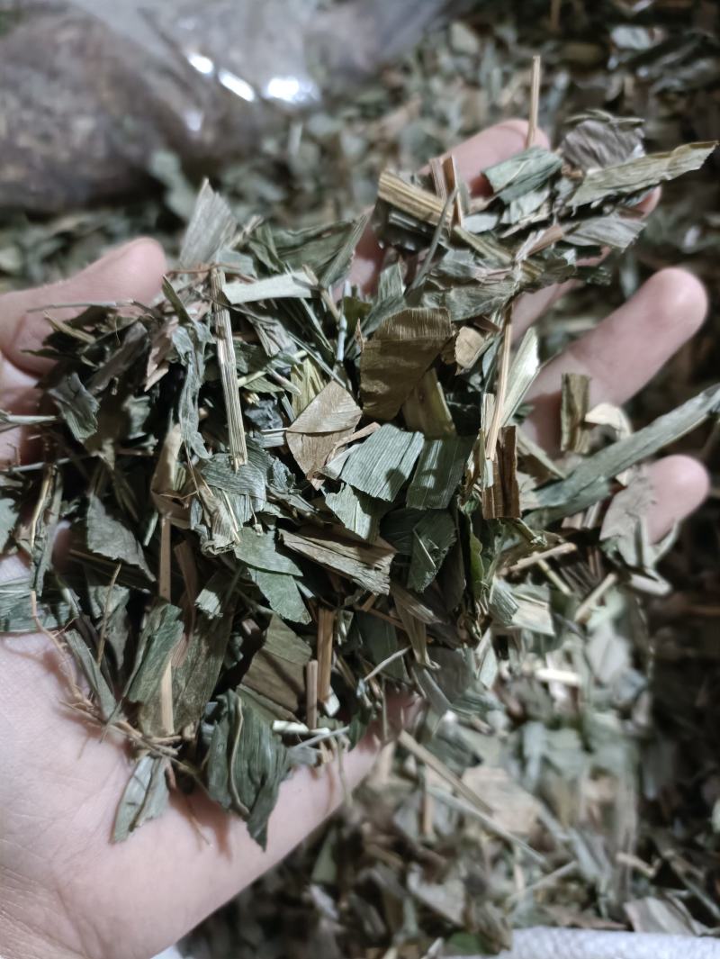 淡竹叶新货颜色好货干供应大货各种中药材
