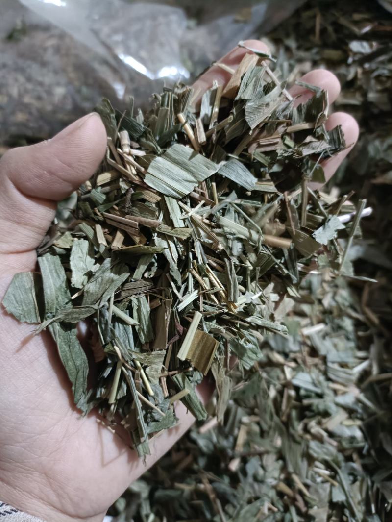 淡竹叶新货颜色好货干供应大货各种中药材