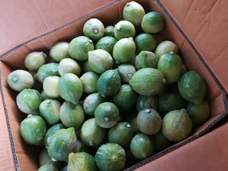 广东无籽香水柠檬二级果
