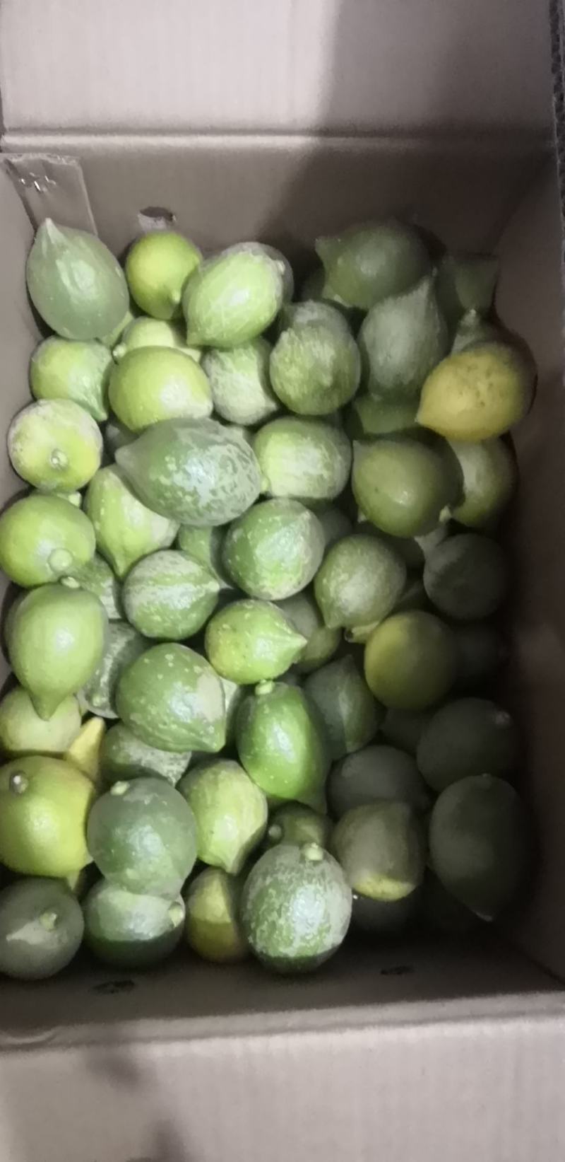 广东无籽香水柠檬二级果