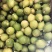 广东无籽香水柠檬二级果