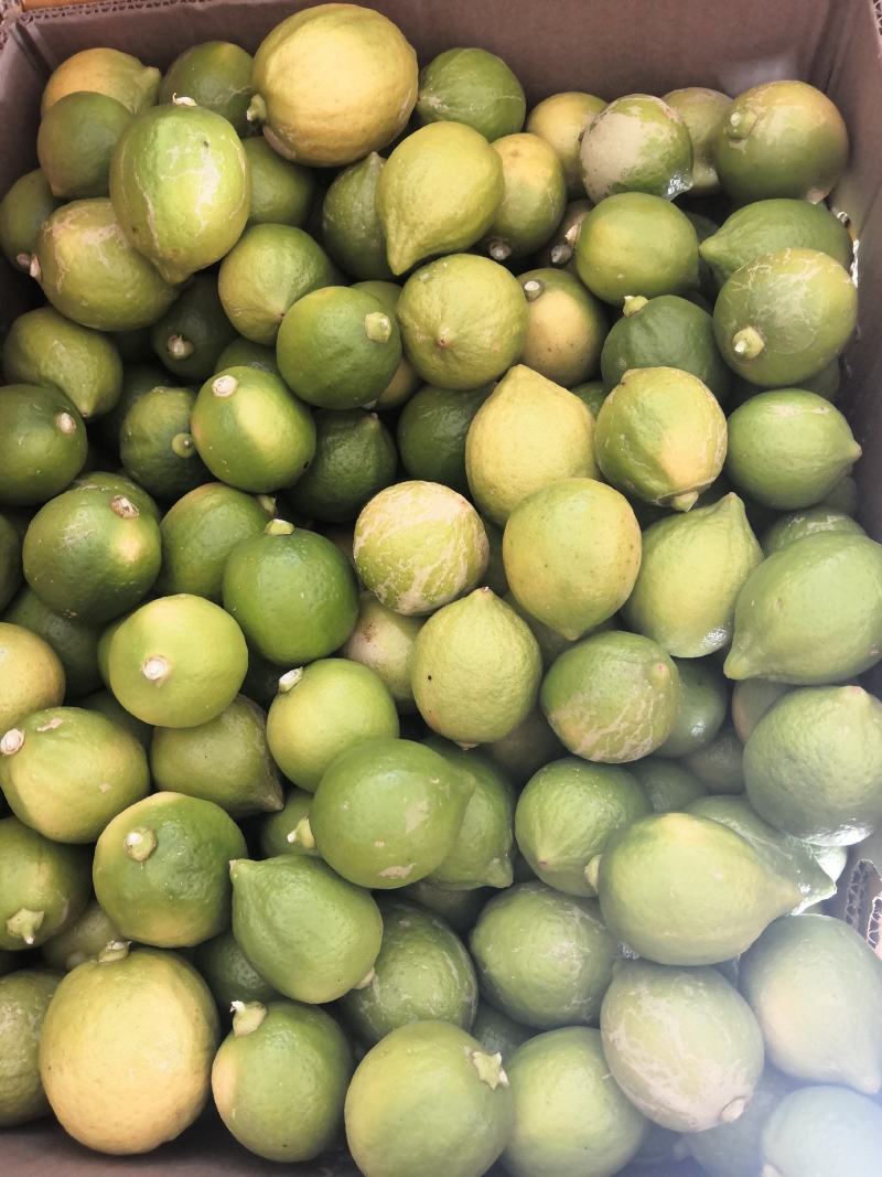 广东无籽香水柠檬二级果