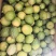 广东无籽香水柠檬二级果