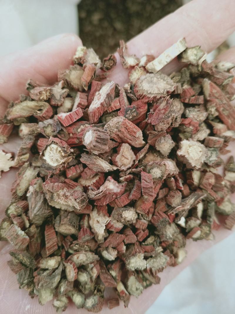 正宗丹参丹参片24小时在线服务长期供货健康之选