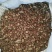 正宗丹参丹参片24小时在线服务长期供货健康之选