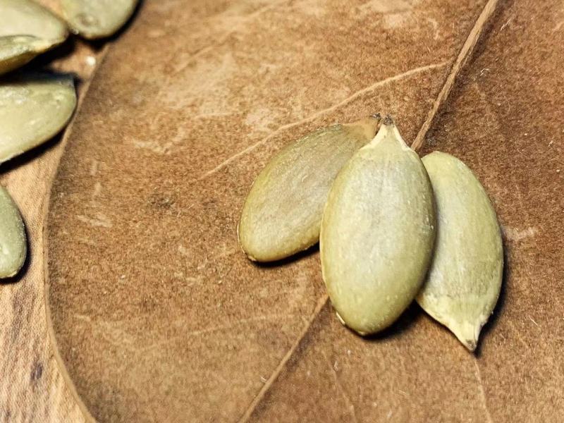 网红南瓜子纸皮南瓜子炒熟罐装250克批发支持一件代发