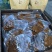 网红临安烤肉豆干袋装250克一袋大量批发支持一件代发
