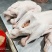 狮头鹅批发零售