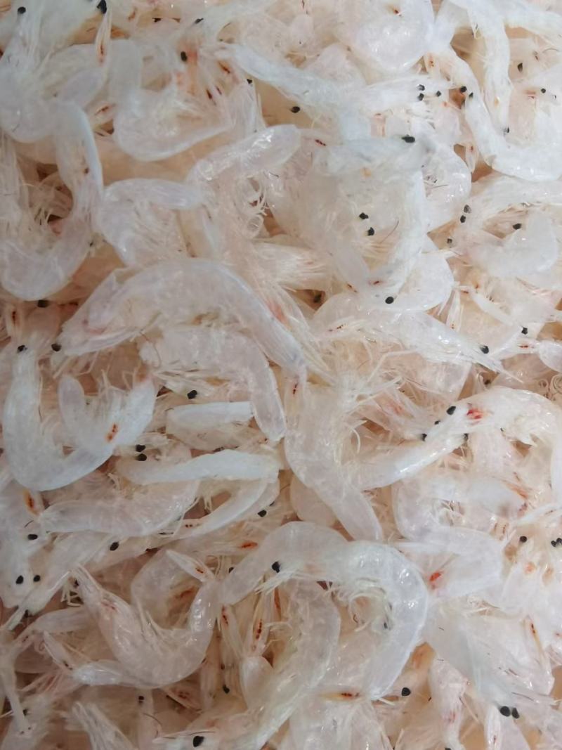 精品新鲜淡干白虾皮小虾米干货产地直发特级即食海米海鲜毛虾