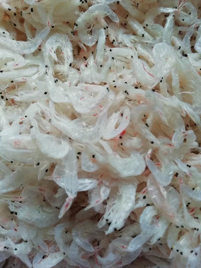 精品新鲜淡干白虾皮小虾米干货产地直发特级即食海米海鲜毛虾