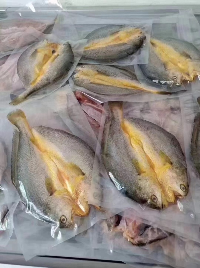 黄花鱼湛江一夜埕特产开背去内脏真空包装黄花鱼