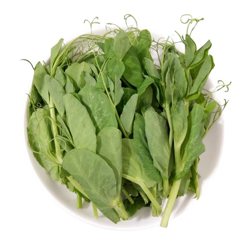 云南精品豌豆尖产地直供