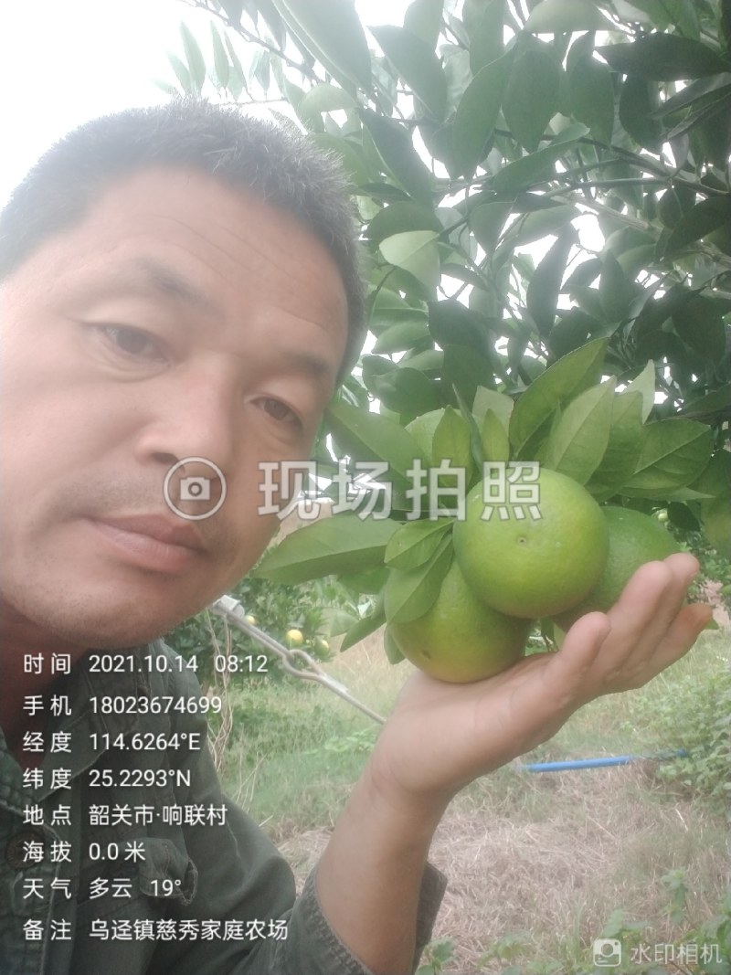 橙子