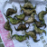 老菱角